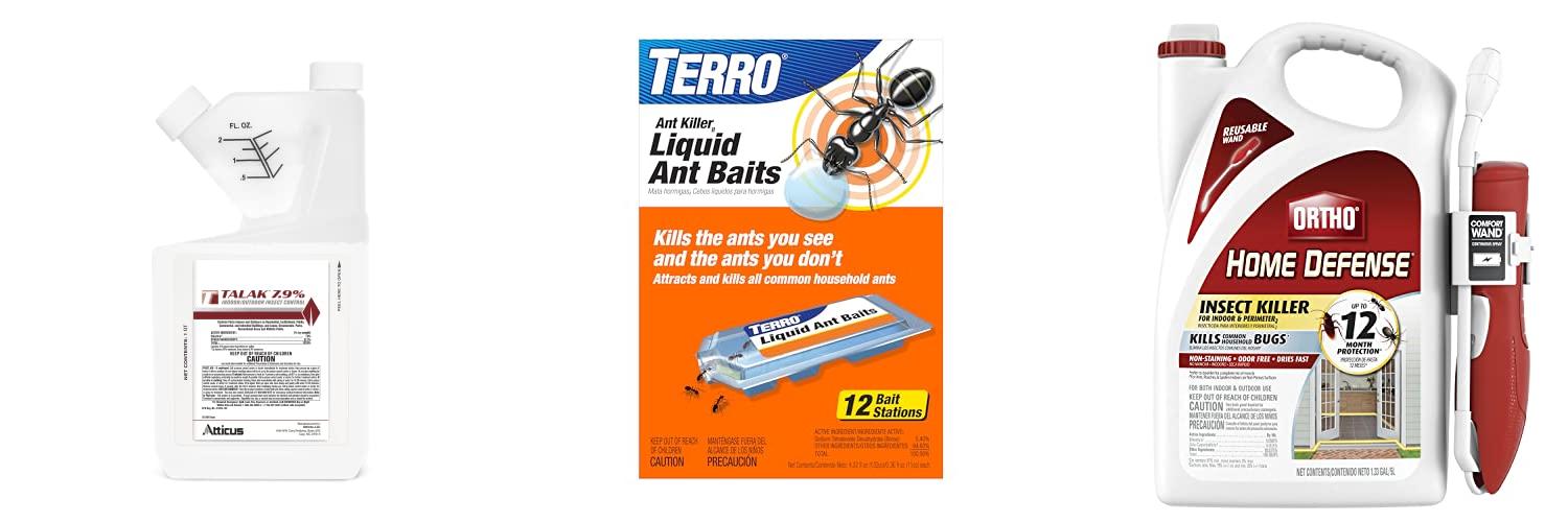 Best Ant Insecticide - Top 5 Picks & Review