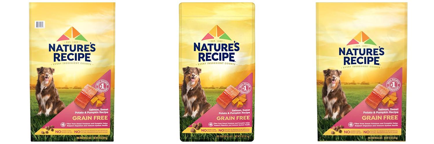 Picture of Top 5 Grain Free Dog Foods: Best Picks Reviewed
